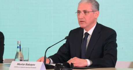 Мухтар Бабаев: «Зеленый переход» входит в число национальных приоритетов Азербайджана