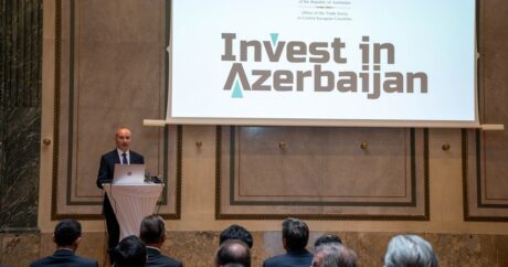 Инвестиционный потенциал Азербайджана представлен в Австрии