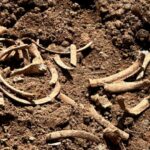 В Малыбейли вновь обнаружены фрагменты человеческих костей