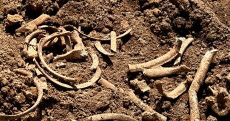 В Малыбейли вновь обнаружены фрагменты человеческих костей
