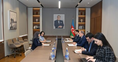 Глава МИД Азербайджана проинформировал генсека МПА АСЕАН о постконфликтной ситуации в регионе