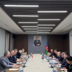 Азербайджан и Грузия провели межмидовские политические консультации в Баку