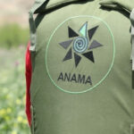 ANAMA: На освобожденных территориях обнаружено еще 38 мин