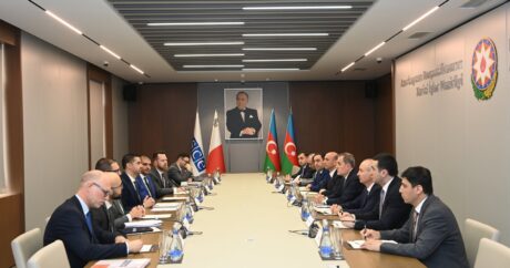 Глава МИД Азербайджана и действующий председатель ОБСЕ провели встречу в расширенном составе