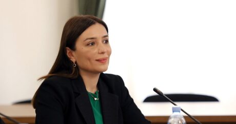 Нино Тандилашвили: COP29 — возможность для стран Южного Кавказа обсудить вызовы в регионе