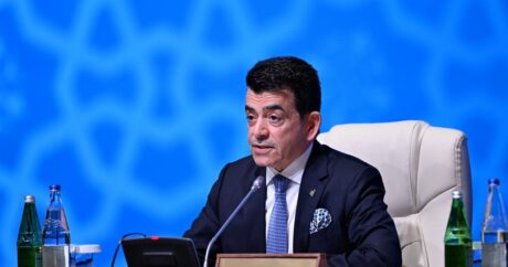 Гендиректор ИСЕСКО выразил благодарность президенту Азербайджана за усилия по укреплению мира