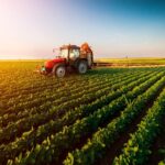 Сельхозпроизводство в Азербайджане выросло почти на 2%