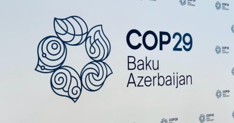 Гендиректор: АБР уже инициировал техническую помошь Азербайджану для COP29