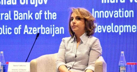 Председатель агентства: В Азербайджане стартапам оказывается поддержка для выхода на международные рынки