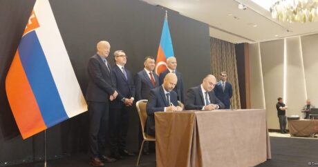 Названы сектора экономики, в которых Словакия готова поделиться опытом с Азербайджаном
