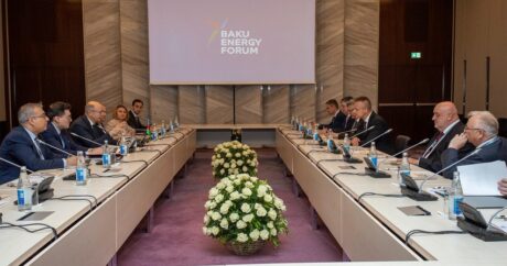 Азербайджан и Венгрия обсудили сотрудничество в энергетической сфере