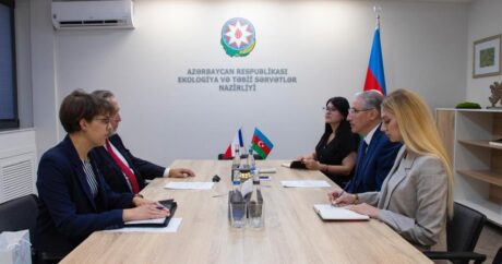 Мухтар Бабаев обсудил подготовку к COP29 с послом Чехии в Азербайджане