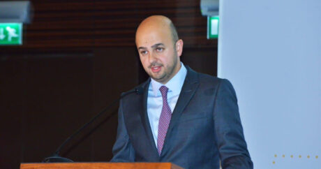 Вахид Гаджиев: Карабах станет динамично развивающимся центром экологически чистой энергии