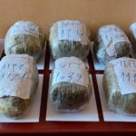 Азербайджанские пограничники пресекли контрабанду более 11 кг наркотиков