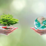 Защита окружающей среды – ключевой приоритет Нового Узбекистана
