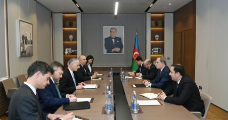 Глава МИД Азербайджана проинформировал Луи Боно о мирных переговорах с Арменией