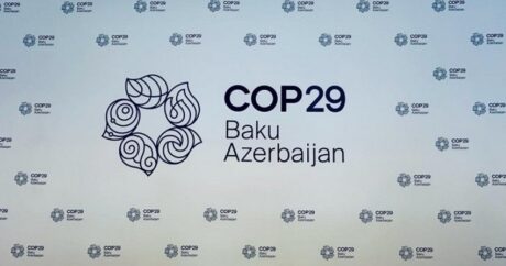 Более 16 тыс. человек подали заявки на участие в волонтерской программе COP29