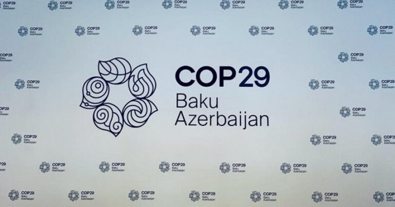 Завершилась регистрация на волонтерскую программу COP29