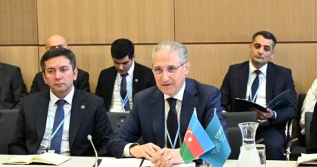 Президент СОР29 и исполнительный секретарь РКИК ООН обсудили стратегии в борьбе с изменением климата