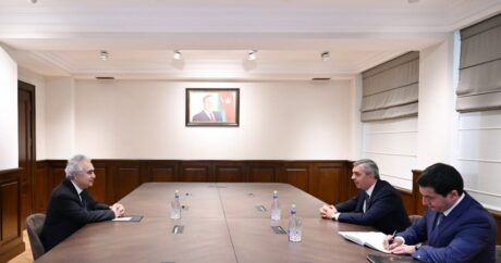 Глава Администрации президента провел встречу с исполнительным директором МЭА