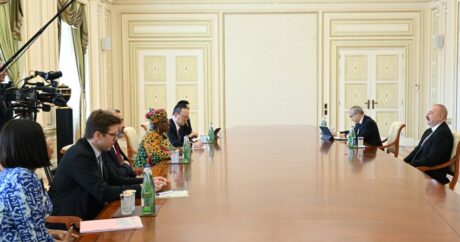 Президент Ильхам Алиев принял генерального директора Всемирной торговой организации