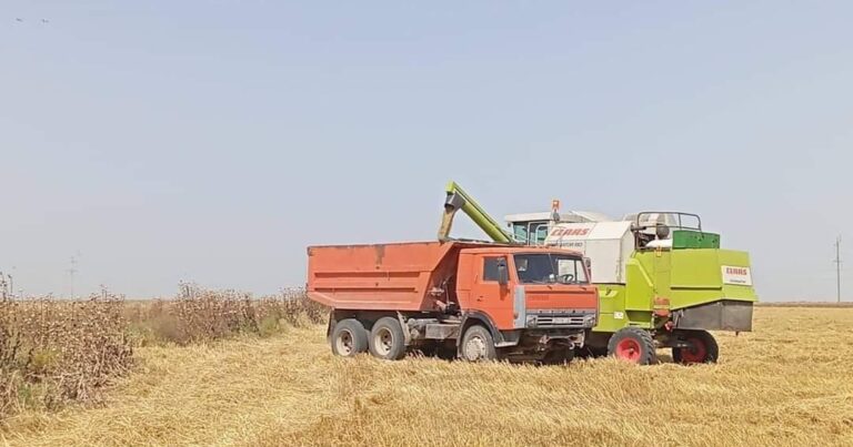 В Джалилабадском районе в этом году посевные площади увеличились почти на 700 га