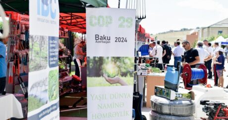 В Хызы прошел фестиваль аграрного бизнеса