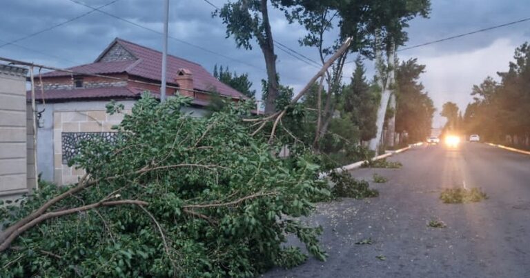 «Азеришыг» борется с последствиями сильного ветра