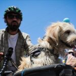Турок путешествует вокруг света на велосипеде с собакой