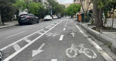 Устанавливаются правила пользования велосипедной полосой транспортными средствами