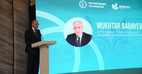Мухтар Бабаев о задачах председательства COP29