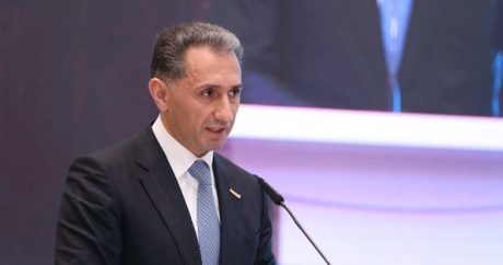 Министр: Ведутся переговоры об открытии прямых рейсов между Баку и Каиром