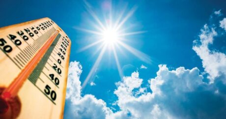 В первой декаде июля температура воздуха была на 4,5 градуса выше нормы