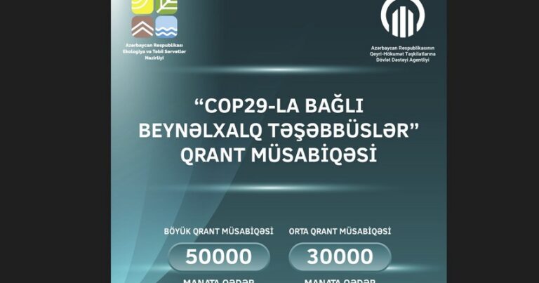 Объявлен грантовый конкурс на тему международных инициатив по COP29 для НПО