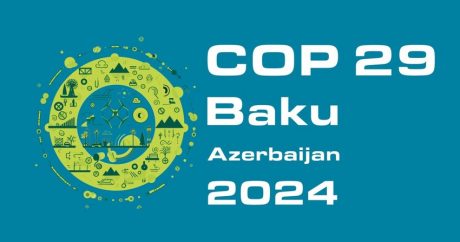 Объявлены инициативы в рамках повестки COP29