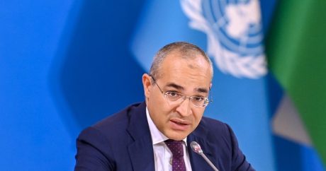 Азербайджан и ООН обсудили инвестиции в бизнес-решения в соответствии с целью достижения «чистого нуля»