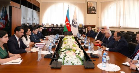 Омбудсмен Азербайджана встретилась с председателем Конституционного суда Турции