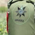 ANAMA: На прошлой неделе на освобожденных территориях обезврежено 86 мин