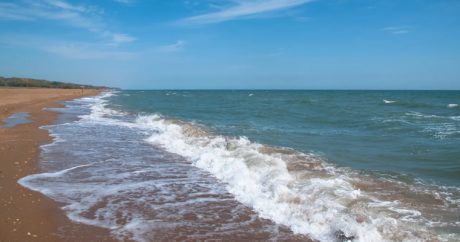 В Каспийском море наблюдается улучшение химического состава воды