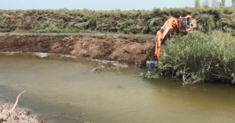 В Кура-Аразской низменности начался аудит коллекторно-дренажных систем