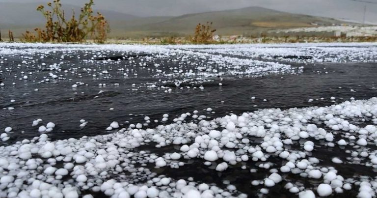 Фактическая погода: В ряде районов наблюдались осадки