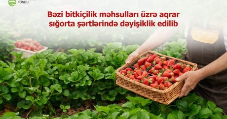 В Азербайджане изменились условия агрострахования некоторых сельхозпродуктов