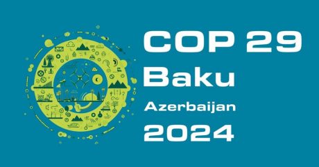 Иностранных граждан, прибывающих на COP29, не обязуют сдавать тест на коронавирус