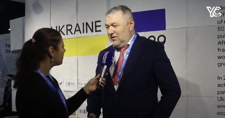 Александр Кава: «COP29 — это площадка для обсуждения наилучших инструментов как трансформировать экономики мира»