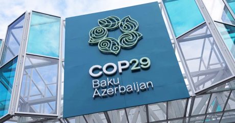 В Баку стартовала климатическая конференция COP29