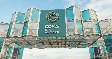 Что представит Узбекистан на COP29?