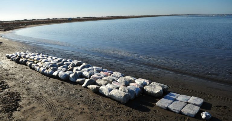 В октябре сотрудники ГПС изъяли из незаконного оборота 351 кг наркотиков