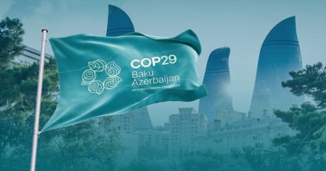 Исторический успех COP29: «Зеленый свет» углеродному рынку