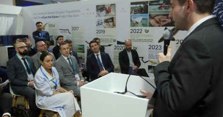 Лейла Алиева приняла участие в выпуске в воду мальков рыб в Зеленой зоне COP29