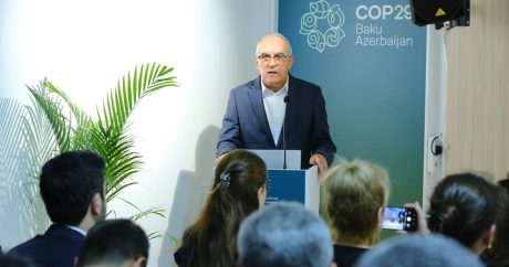 На COP29 обсудили пути решения и предотвращения проблем, связанных с дефицитом воды